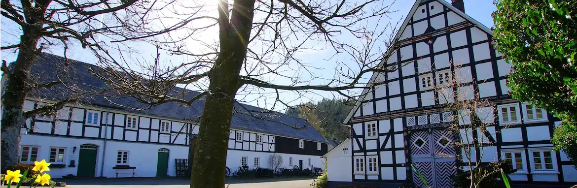 Schmallenberg Dorfbild